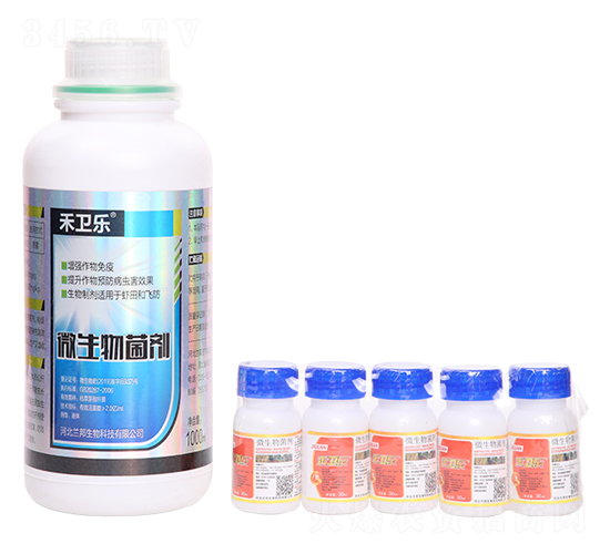 ΢�������-���l(w��i)�|-�m������