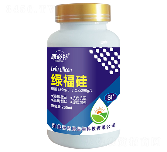 �G����-�����a(b��)-���ؿ�