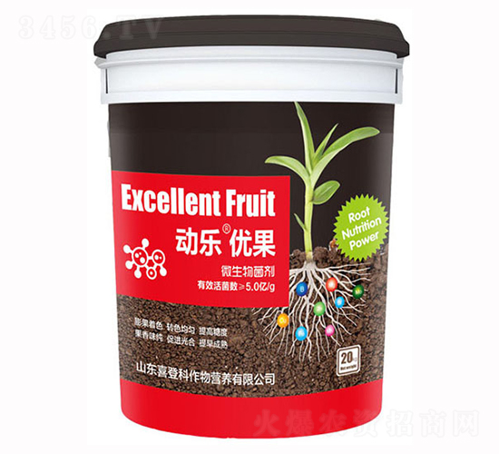 ΢�������-��(d��ng)����(y��u)��-ϲ�ǿ�