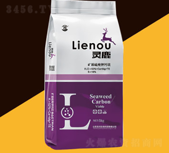 ����������}�V-�`¹-�P������