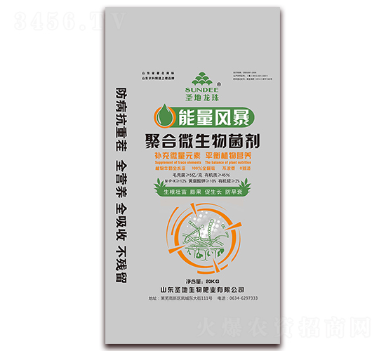 �ۺ�΢�������-�����L(f��ng)��-ʥ������