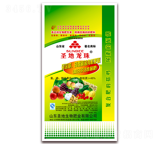 �����������A�}�ЙC(j��)����-ʥ������