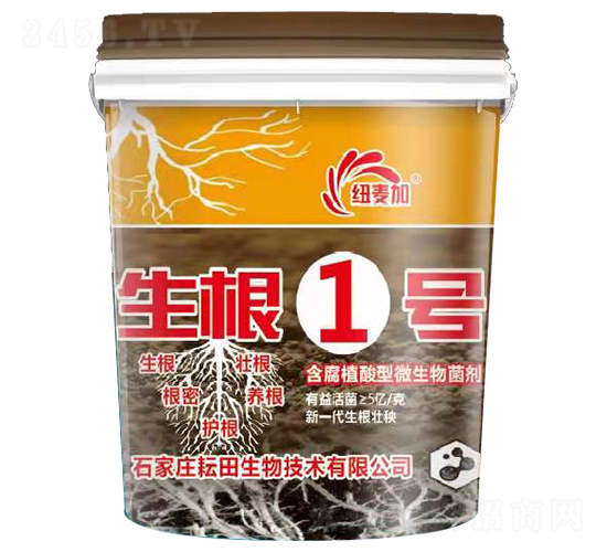 ����1̖(h��o)-�~����-��������