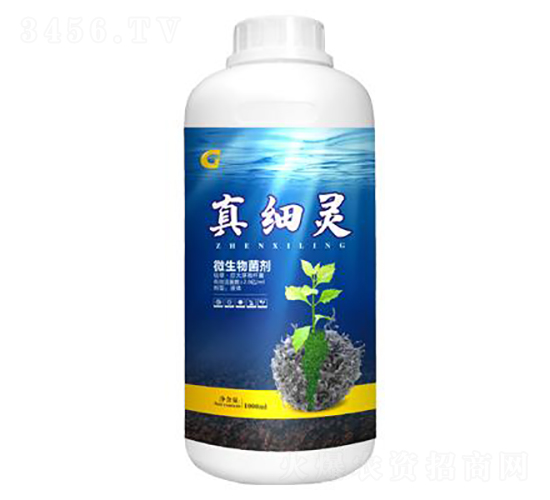 1000ml΢�������-�漚�`-���ý�