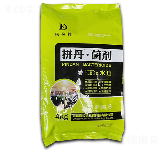 ƴ��������-������