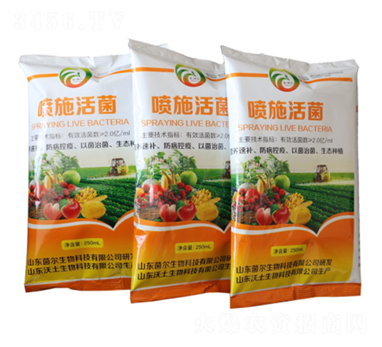 ��ʩ���-��������