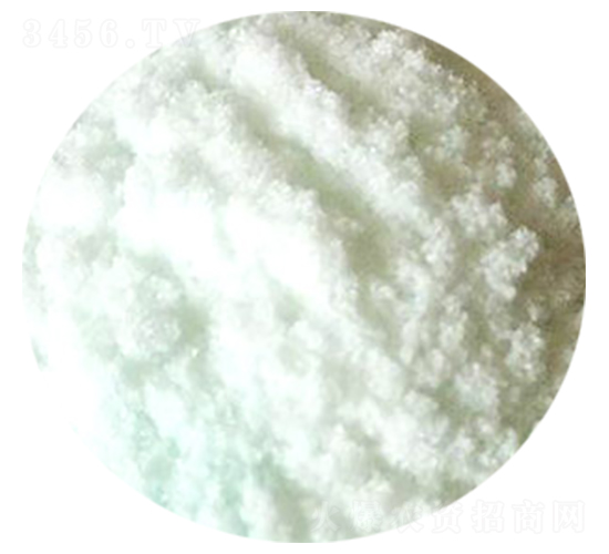 �����-�̌�Դ