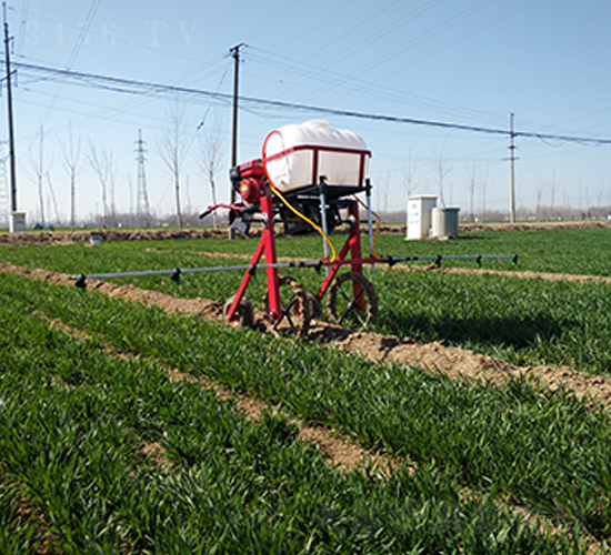 �ַ�����ʽ��ˎ�C(7)-����Cе