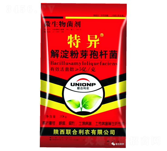 �����ѿ�ߗU��-�خ�-(li��n)�����r(n��ng)