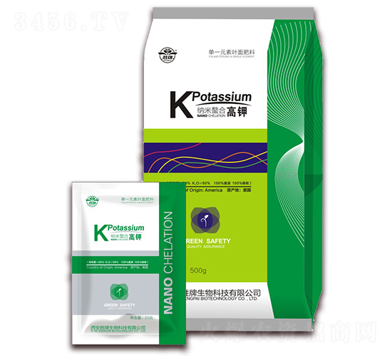 �{�����ϸ�⛷�-����