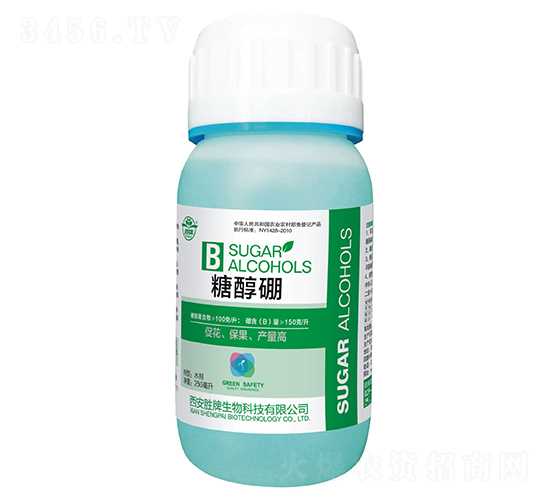 �Ǵ���-����