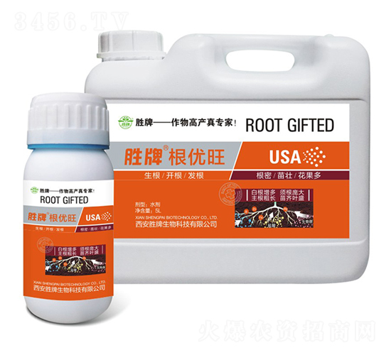 ΢�������-����(y��u)��-����