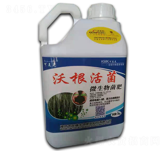 �ָ����-������-��������