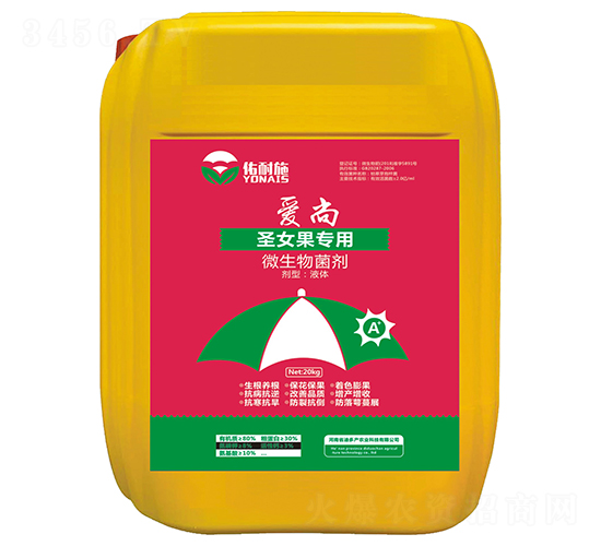 ʥŮ������΢�������-���С�����ʩ-�϶�a(ch��n)