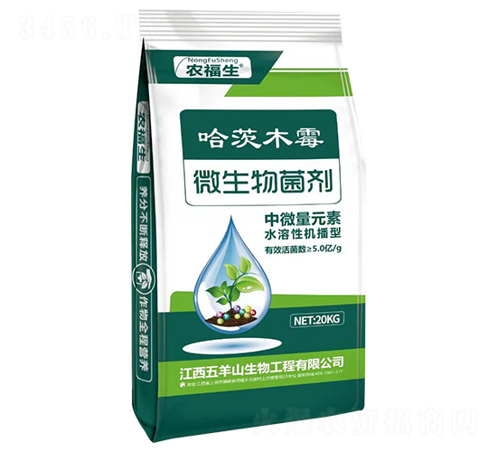 ����ľù΢�������-�r(n��ng)����