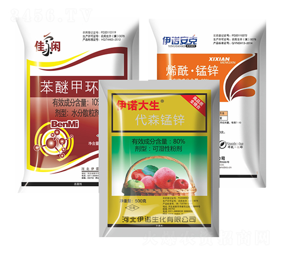 �Ѽ��e+���Z����+���Z����-�S̩�r(n��ng)�I(y��)