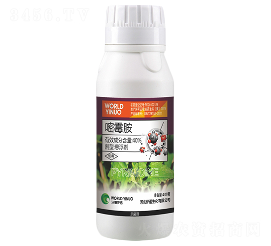 40%��ù���Ҹ���-�S̩�r(n��ng)�I(y��)