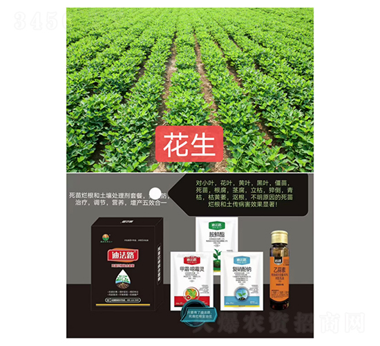 ���砀���M���ײͣ��������ã�-�Ϸ�·-�Z�M��