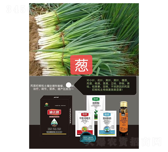 ���砀���M���ײͣ��[���ã�-�Ϸ�·-�Z�M��