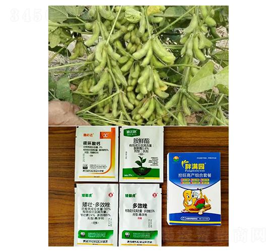 �����߮a(ch��n)�M���ײͣ����ǌ�(zhu��n)�ã�-�֝M(m��n)�@-�Z�M(m��n)��