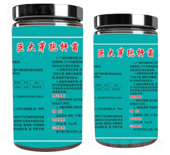 �޴�ѿ�ߗU��-ָ���