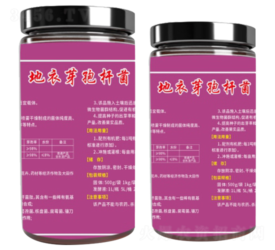 ����ѿ�ߗU��-ָ���