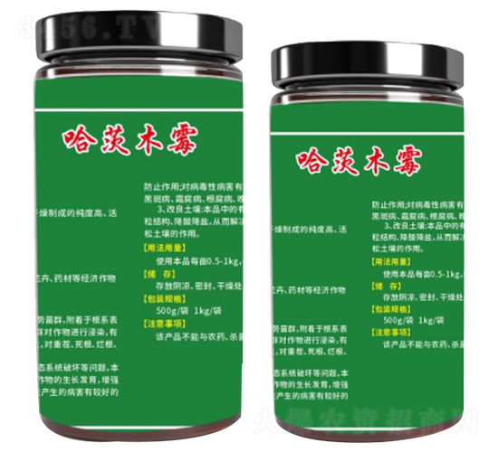 ����ľù-ָ���