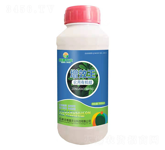 �r(n��ng)���ЙC(j��)��-��Ч��-Ψϲ�r(n��ng)�I(y��)