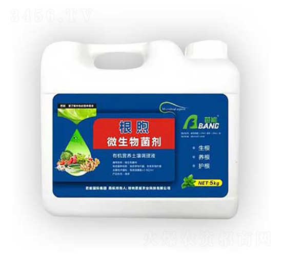 ����΢�������-����