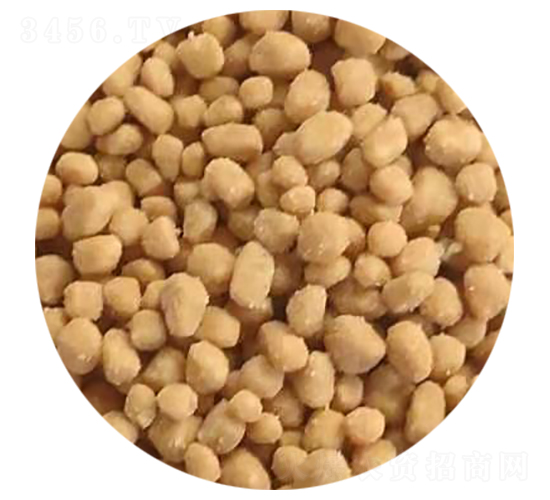 �����w��-�ӱ�����