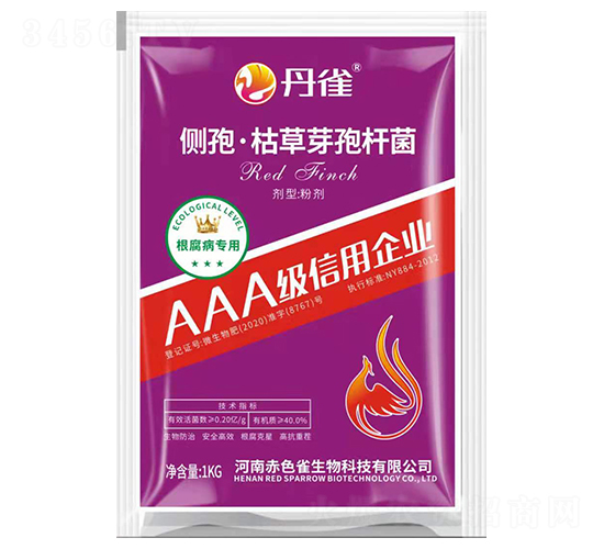 ��(c��)�ߡ��ݲ�ѿ�ߗU��-��ȸ