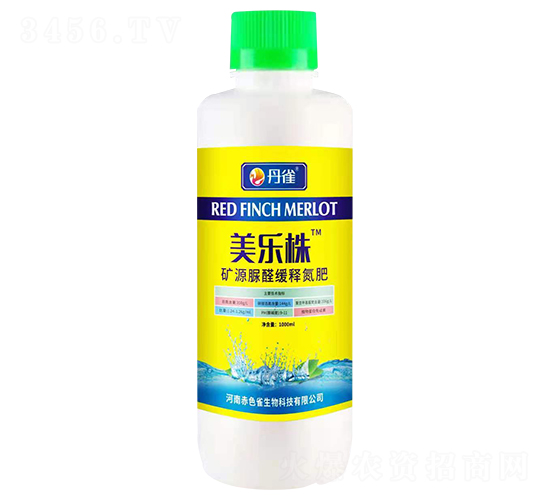 �VԴ��ȩ��ጵ���-������-��ȸ