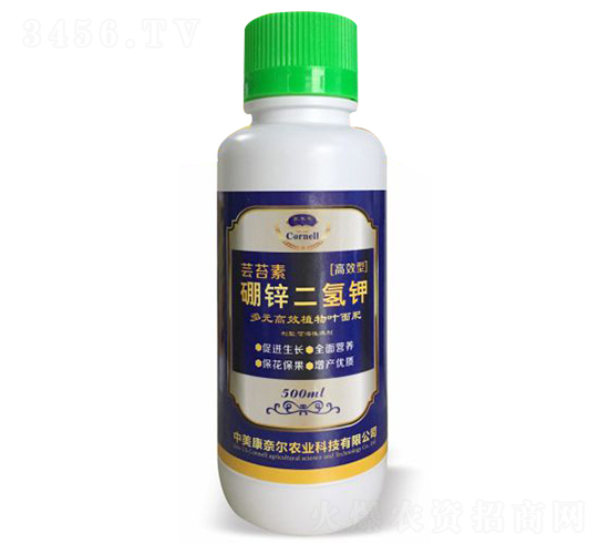 �|̦�����\�����-�����S-���Π�