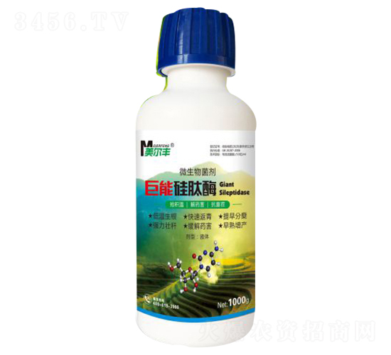 ���ܹ���ø΢�������-�����S-���Π�