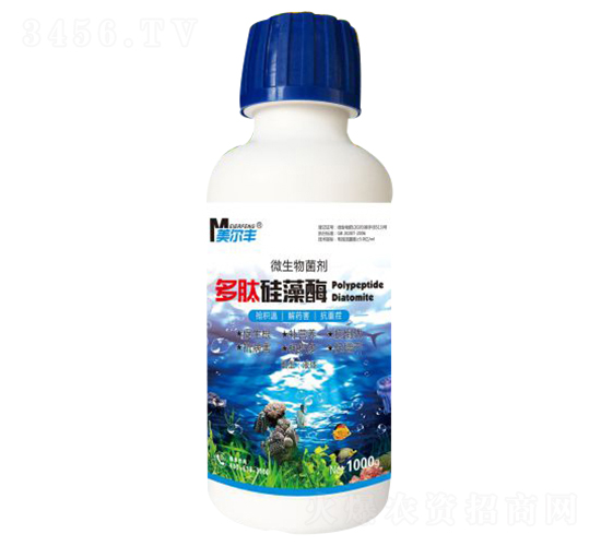 ���Ĺ���ø΢�������-�����S-���Π�