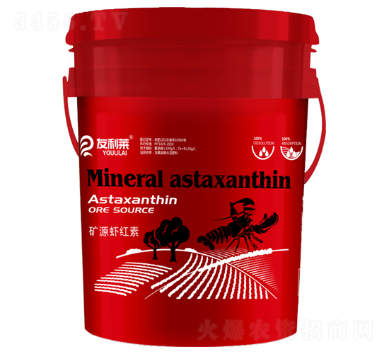 �VԴ�r�t��-�����R