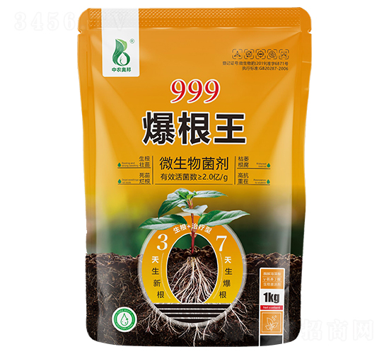 999������-���r(n��ng)�W��