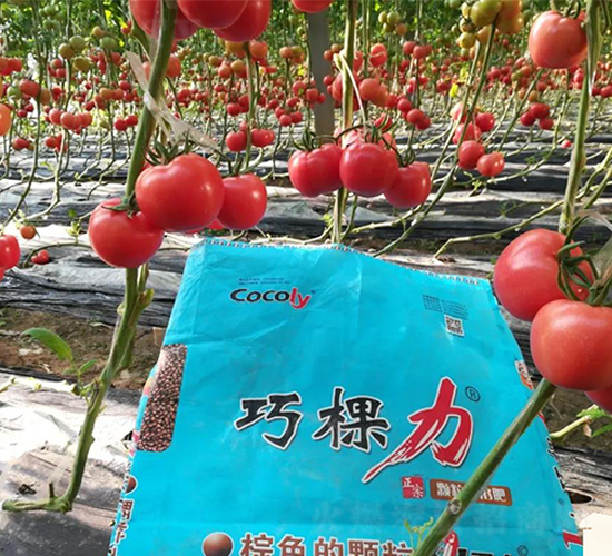 �ɿ����w��ˮ�ܷ����ڷ����ϰ����D