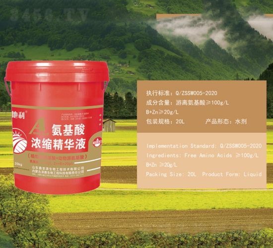 �������s���AҺ-������-��������