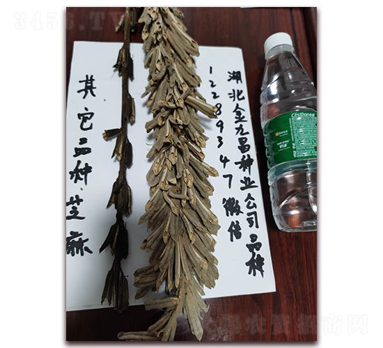 ��Ų�֥��N�ӌ����D