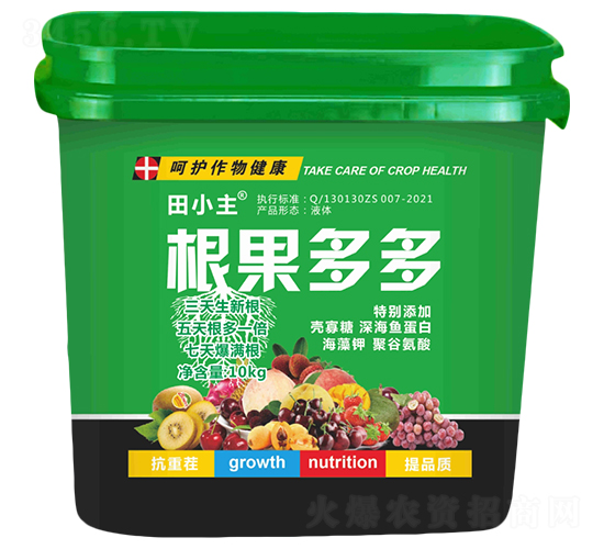 �������-��С��-����