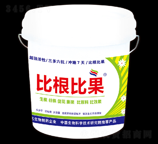 �ȸ��ȹ�-�º���