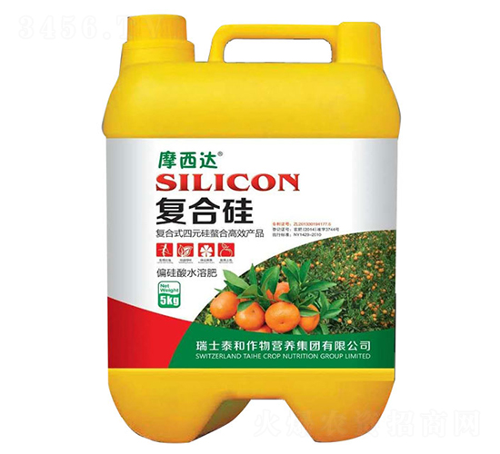 ��(f��)�Ϲ�-Ħ���_(d��)-������r(n��ng)