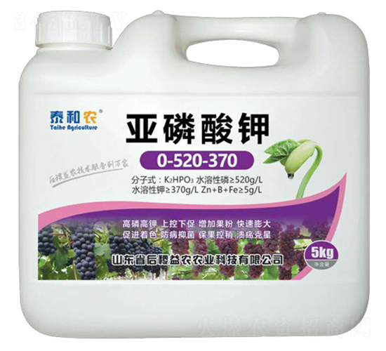 �������-̩���r(n��ng)-������r(n��ng)