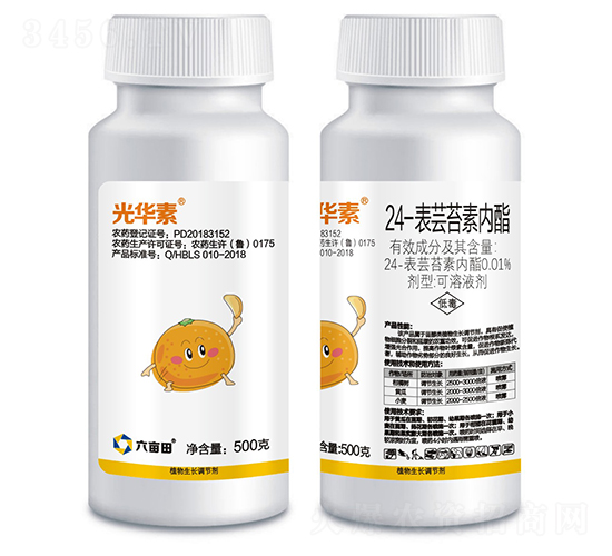 24-���|̦�؃�(n��i)��-���A��-������