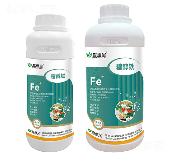 �Ǵ��F-�Ƶ�