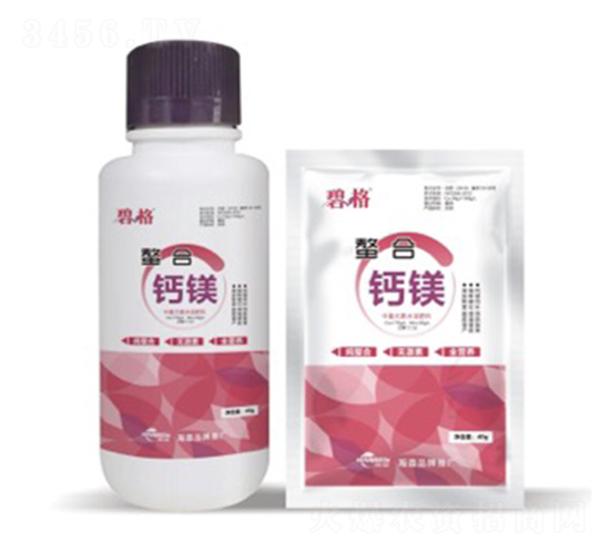 �����}�V��-�̸�-�ɭ����