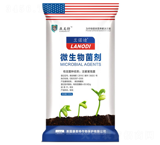 ΢�������-���x����-������