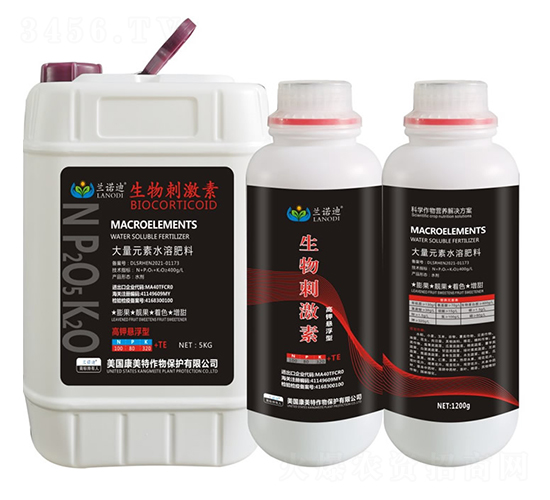 ����̼���-�m�Z��-������