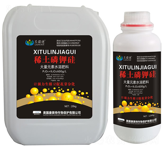 ϡ����⛹�-�m�Z��-������